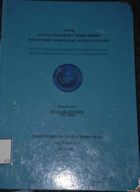 Image of Analisis Manajemen Risiko Kredit Pada PT. BPR. TLM Kupang