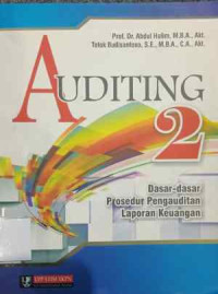 Image of Auditing 2