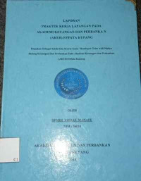 Image of Laporan PKL pada AKUB Effata Kupang