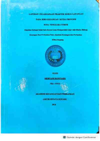 Image of Laporan PKL pada Biro Keuangan Setda Prov. NTT