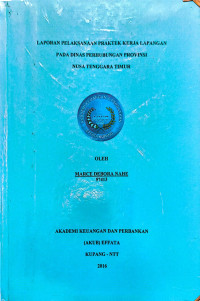 Image of Laporan PKL pada Dishub. Prov. NTT