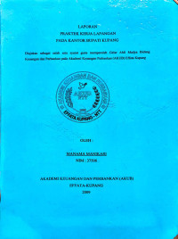 Image of Laporan PKL pada Kantor Bupati Kupang