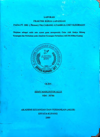 Image of Laporan PKL pada PT. BRI Cab. Atambua Unit Sudirman